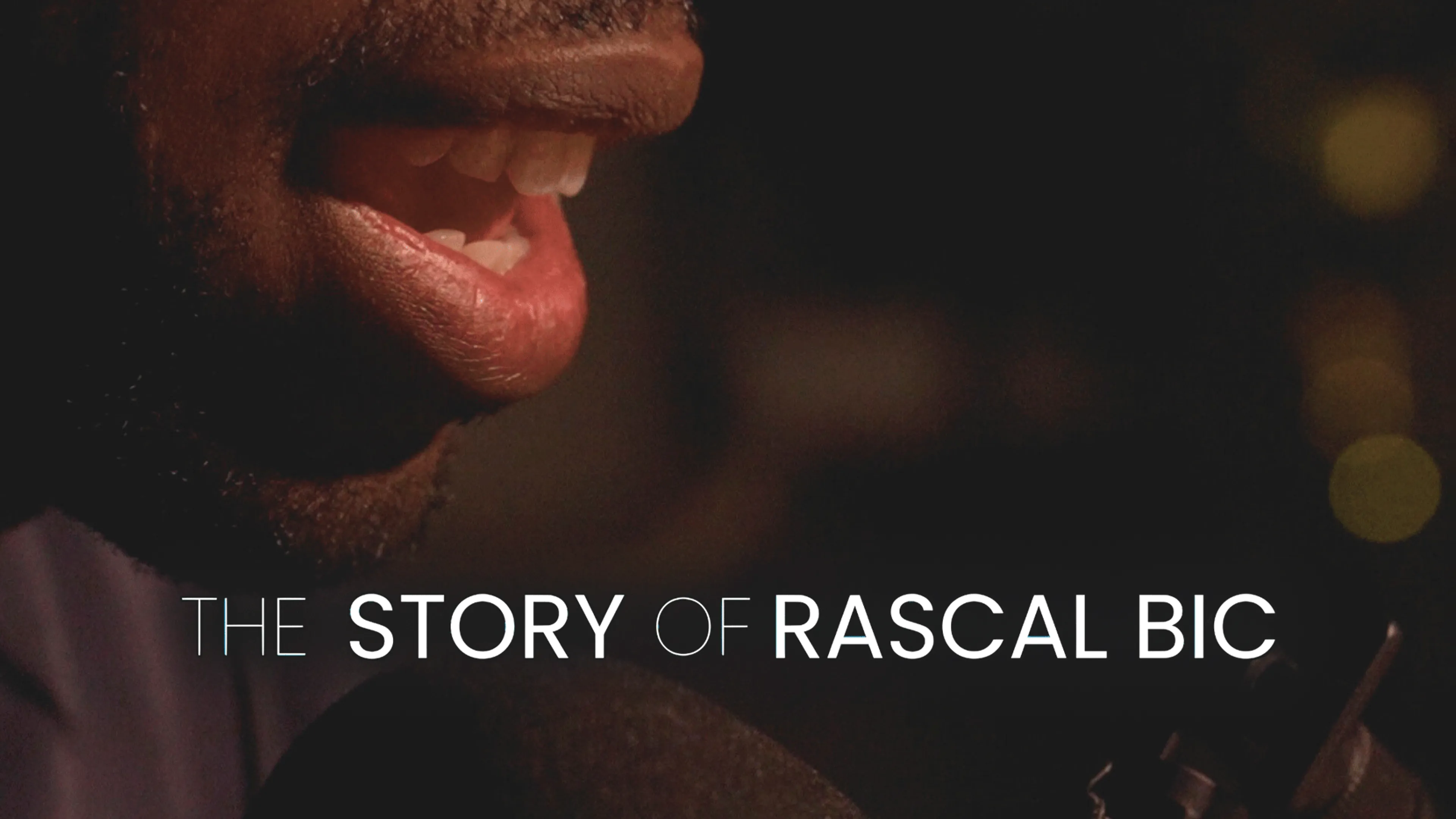 The Story of Rascal Bic poster
